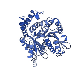 20631_6u42_K6_v1-1
Natively decorated ciliary doublet microtubule