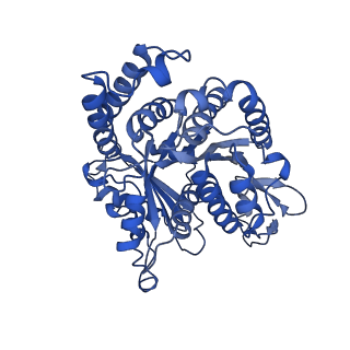 20631_6u42_K8_v1-1
Natively decorated ciliary doublet microtubule