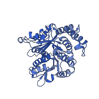 20631_6u42_Q4_v1-1
Natively decorated ciliary doublet microtubule