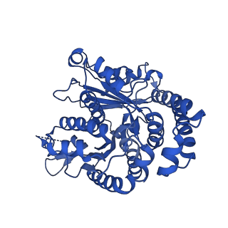 20631_6u42_S9_v1-1
Natively decorated ciliary doublet microtubule
