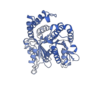 20631_6u42_U2_v1-1
Natively decorated ciliary doublet microtubule