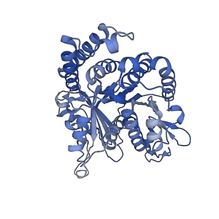 20631_6u42_U8_v1-1
Natively decorated ciliary doublet microtubule
