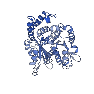 20631_6u42_V0_v1-1
Natively decorated ciliary doublet microtubule