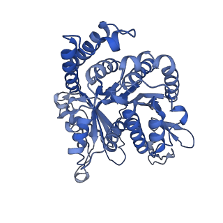 20631_6u42_V2_v1-1
Natively decorated ciliary doublet microtubule