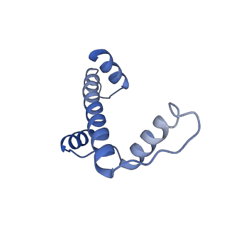 26330_7u46_A_v1-3
Cryo-EM structure of CENP-A nucleosome (palindromic alpha satellite DNA) in complex with CENP-N