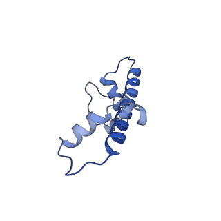 26330_7u46_C_v1-2
Cryo-EM structure of CENP-A nucleosome (palindromic alpha satellite DNA) in complex with CENP-N