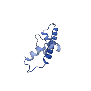 26330_7u46_C_v1-3
Cryo-EM structure of CENP-A nucleosome (palindromic alpha satellite DNA) in complex with CENP-N