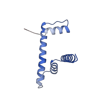 26330_7u46_D_v1-3
Cryo-EM structure of CENP-A nucleosome (palindromic alpha satellite DNA) in complex with CENP-N