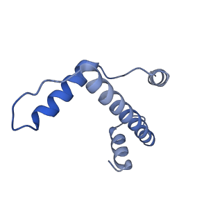 26330_7u46_E_v1-2
Cryo-EM structure of CENP-A nucleosome (palindromic alpha satellite DNA) in complex with CENP-N