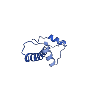 26330_7u46_F_v1-3
Cryo-EM structure of CENP-A nucleosome (palindromic alpha satellite DNA) in complex with CENP-N