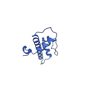 26330_7u46_G_v1-2
Cryo-EM structure of CENP-A nucleosome (palindromic alpha satellite DNA) in complex with CENP-N