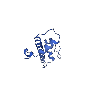 26330_7u46_G_v1-3
Cryo-EM structure of CENP-A nucleosome (palindromic alpha satellite DNA) in complex with CENP-N