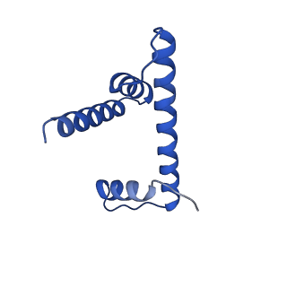 26330_7u46_H_v1-2
Cryo-EM structure of CENP-A nucleosome (palindromic alpha satellite DNA) in complex with CENP-N