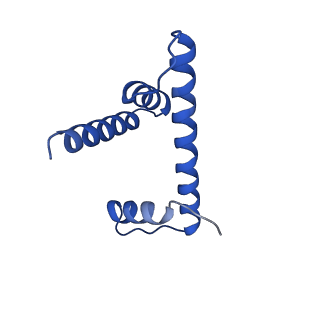 26330_7u46_H_v1-3
Cryo-EM structure of CENP-A nucleosome (palindromic alpha satellite DNA) in complex with CENP-N