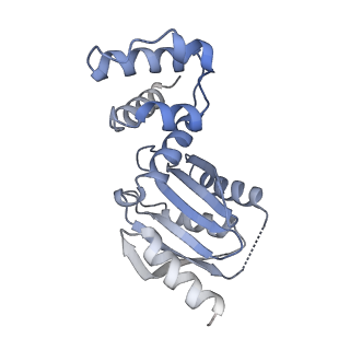 26330_7u46_K_v1-2
Cryo-EM structure of CENP-A nucleosome (palindromic alpha satellite DNA) in complex with CENP-N
