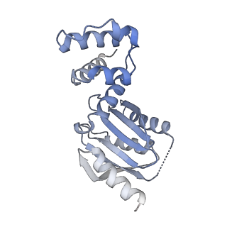 26330_7u46_K_v1-3
Cryo-EM structure of CENP-A nucleosome (palindromic alpha satellite DNA) in complex with CENP-N