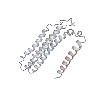 26334_7u4t_0_v1-1
Human V-ATPase in state 2 with SidK and mEAK-7