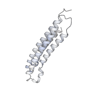26334_7u4t_3_v1-1
Human V-ATPase in state 2 with SidK and mEAK-7