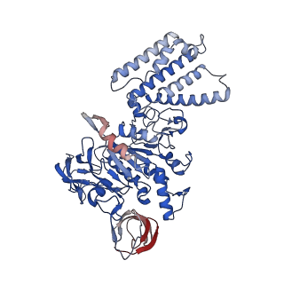 26334_7u4t_A_v1-1
Human V-ATPase in state 2 with SidK and mEAK-7