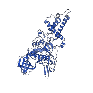 26334_7u4t_B_v1-1
Human V-ATPase in state 2 with SidK and mEAK-7