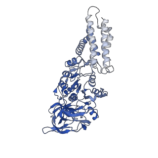 26334_7u4t_C_v1-1
Human V-ATPase in state 2 with SidK and mEAK-7