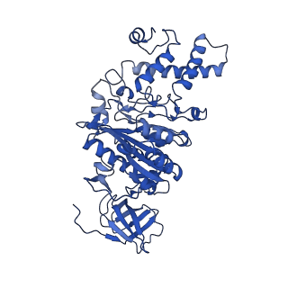 26334_7u4t_D_v1-1
Human V-ATPase in state 2 with SidK and mEAK-7