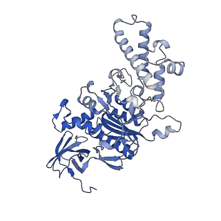 26334_7u4t_F_v1-1
Human V-ATPase in state 2 with SidK and mEAK-7