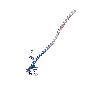 26334_7u4t_H_v1-1
Human V-ATPase in state 2 with SidK and mEAK-7
