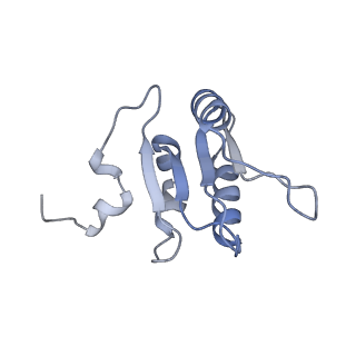 26334_7u4t_N_v1-1
Human V-ATPase in state 2 with SidK and mEAK-7