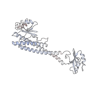 26334_7u4t_O_v1-1
Human V-ATPase in state 2 with SidK and mEAK-7