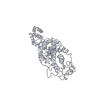 26334_7u4t_P_v1-1
Human V-ATPase in state 2 with SidK and mEAK-7
