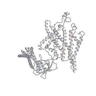 26334_7u4t_R_v1-1
Human V-ATPase in state 2 with SidK and mEAK-7