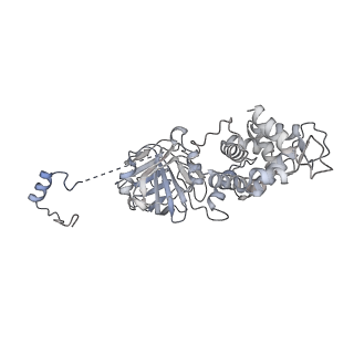 26334_7u4t_W_v1-1
Human V-ATPase in state 2 with SidK and mEAK-7