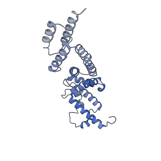 26334_7u4t_X_v1-1
Human V-ATPase in state 2 with SidK and mEAK-7