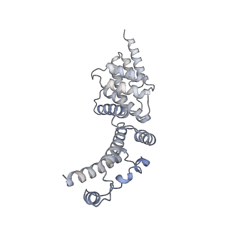 26334_7u4t_Y_v1-1
Human V-ATPase in state 2 with SidK and mEAK-7