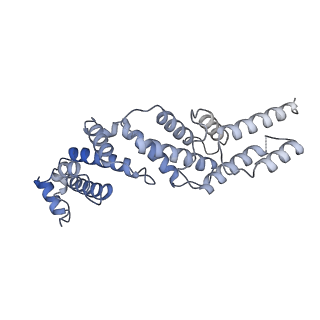 26334_7u4t_Z_v1-1
Human V-ATPase in state 2 with SidK and mEAK-7