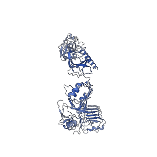 41877_8u4b_A_v1-0
Cryo-EM structure of long form insulin receptor (IR-B) in the apo state