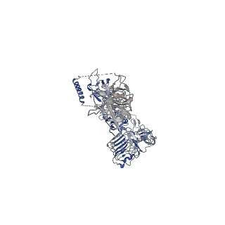 41878_8u4c_A_v1-0
Cryo-EM structure of long form insulin receptor (IR-B) with four IGF2 bound, symmetric conformation.