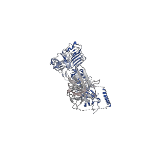 41878_8u4c_B_v1-0
Cryo-EM structure of long form insulin receptor (IR-B) with four IGF2 bound, symmetric conformation.