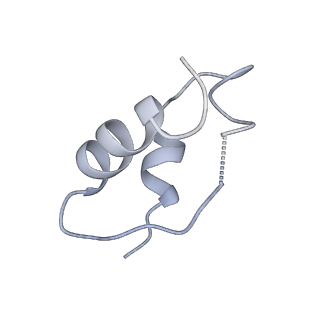 41878_8u4c_C_v1-0
Cryo-EM structure of long form insulin receptor (IR-B) with four IGF2 bound, symmetric conformation.