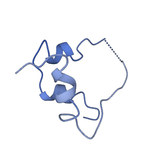 41878_8u4c_D_v1-0
Cryo-EM structure of long form insulin receptor (IR-B) with four IGF2 bound, symmetric conformation.