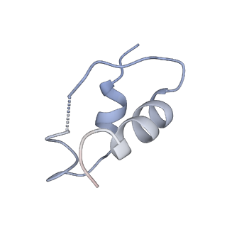 41878_8u4c_E_v1-0
Cryo-EM structure of long form insulin receptor (IR-B) with four IGF2 bound, symmetric conformation.