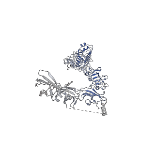 41880_8u4e_B_v1-0
Cryo-EM structure of long form insulin receptor (IR-B) with three IGF2 bound, asymmetric conformation.