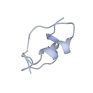 41880_8u4e_C_v1-0
Cryo-EM structure of long form insulin receptor (IR-B) with three IGF2 bound, asymmetric conformation.