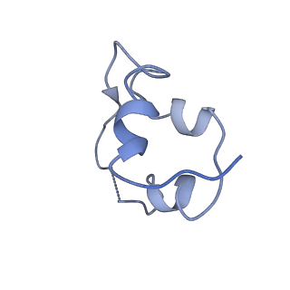 41880_8u4e_D_v1-0
Cryo-EM structure of long form insulin receptor (IR-B) with three IGF2 bound, asymmetric conformation.