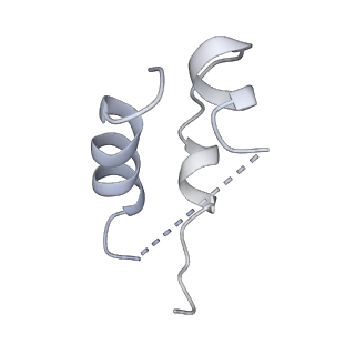 41880_8u4e_E_v1-0
Cryo-EM structure of long form insulin receptor (IR-B) with three IGF2 bound, asymmetric conformation.