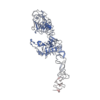 41883_8u4i_B_v1-0
Structure of the HER4/NRG1b Homodimer Extracellular Domain