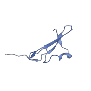 41883_8u4i_C_v1-0
Structure of the HER4/NRG1b Homodimer Extracellular Domain