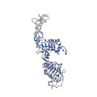 41884_8u4j_B_v1-0
Structure of the HER4/BTC Homodimer Extracellular Domain