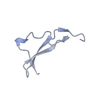 41884_8u4j_C_v1-0
Structure of the HER4/BTC Homodimer Extracellular Domain
